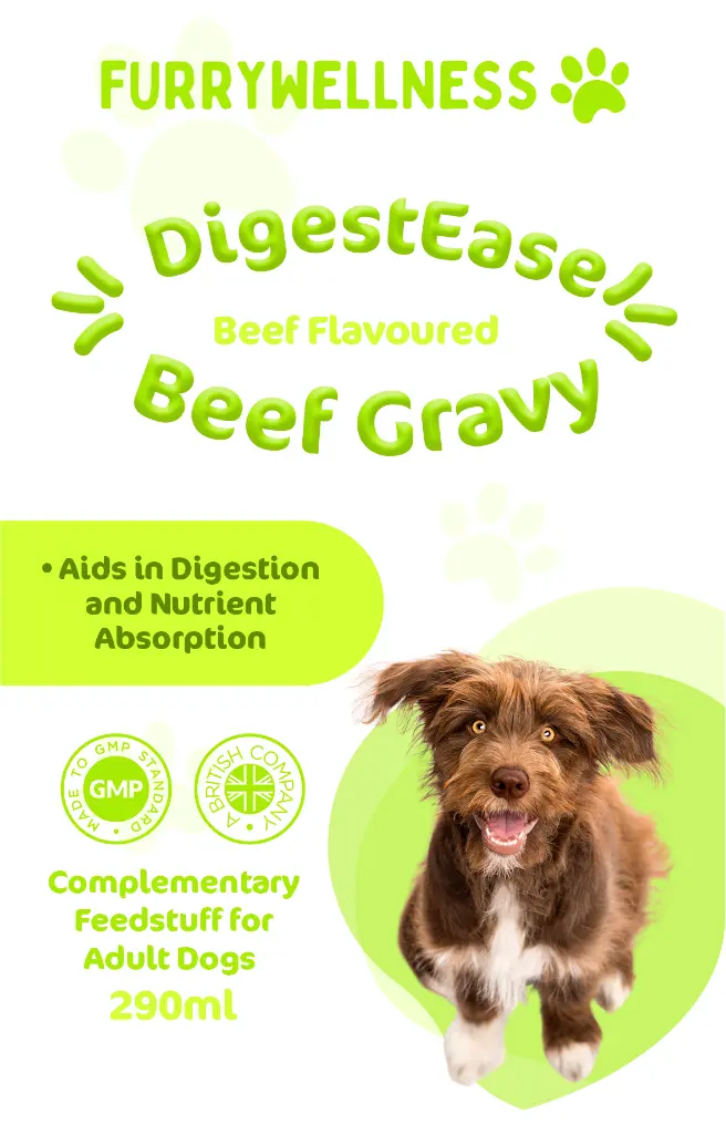 01_Furry Wellness - DigestEase Beef Gravy for Dogs_PL-521-front.webp