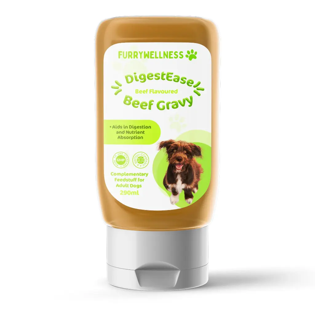 01_Furry Wellness - DigestEase Beef Gravy for Dogs_straight.webp