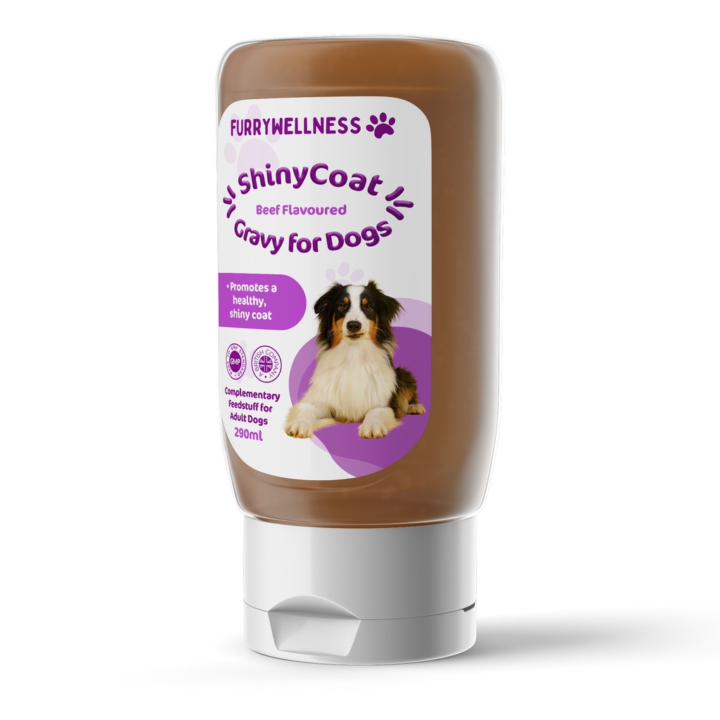 Shiny Coat Beef Gravy for Dogs